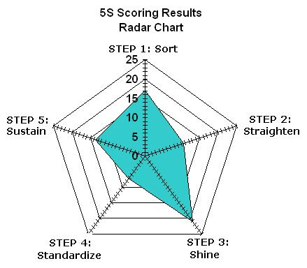 Sample 5S Radar Chart for displaying results