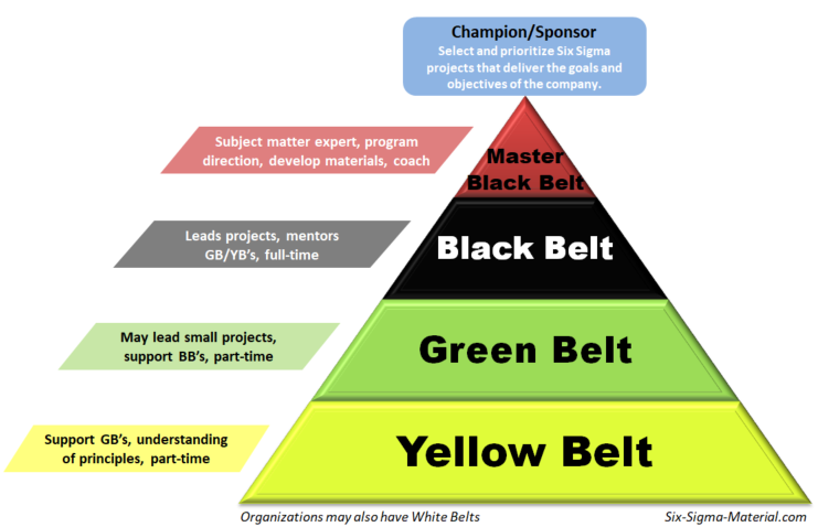 Six Sigma structure in an organization